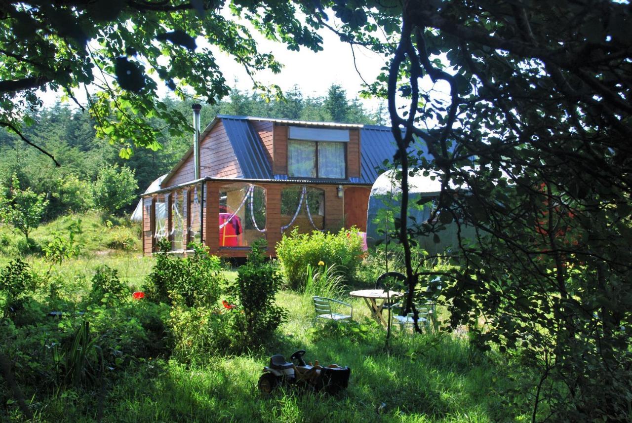 Meadowsweet Forest Lodge Fintown Dış mekan fotoğraf